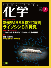 活性酸素種の化学 (季刊化学総説 No. 7) 日本化学会 Amazon.co.jp: 活性酸素種の化学 (季刊化学総説 No. 7) : 日本