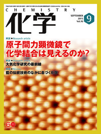 化学　クリアファイル　日本化学会原子量専門委員会 化学 クリアファイル 日本化学会原子量専門委員会 - クリアファイル