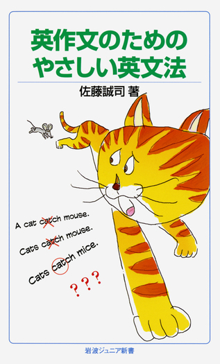 英作文のためのやさしい英文法／佐藤 誠司｜岩波ジュニア新書 - 岩波書店
