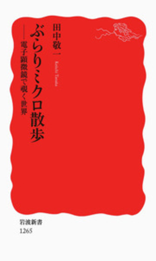 訓読日本書紀〈上・中・下〉 (1928年) (岩波文庫) |本 | 通販