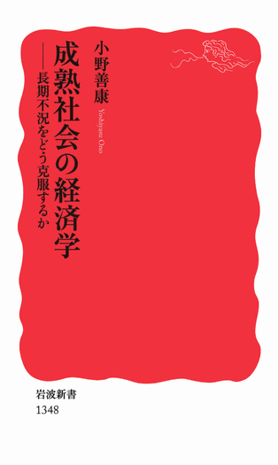 成熟社会の経済学／小野 善康｜岩波新書 - 岩波書店