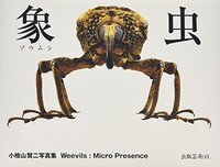 塵騙 ゴミムシダマシ - 株式会社 出版芸術社