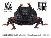 【異形塵騙】背中に爆弾を抱えたMorphostenophanes標本2 塵騙 ゴミムシダマシ - 株式会社 出版芸術社