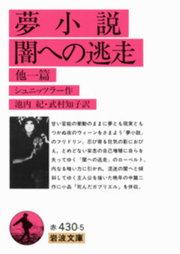 夢小説・闇への逃走／シュニッツラー, 池内 紀, 武村 知子｜岩波文庫