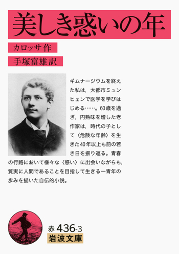 美しき惑いの年／カロッサ, 手塚 富雄｜岩波文庫 - 岩波書店