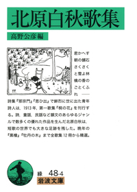 北原白秋詩集 （下）／安藤 元雄｜岩波文庫 - 岩波書店