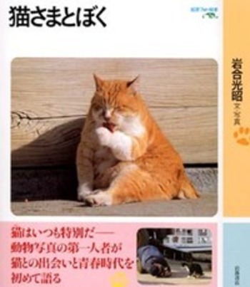 猫さまとぼく／岩合 光昭｜岩波フォト絵本 - 岩波書店