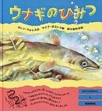 ウナギのひみつ／カレン・ウォレス, マイク・ボストク, 百々 佑利子