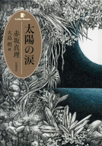 サイン入り 初版帯付 太陽の涙 著 赤坂真理 画大島梢 KOZUE OSHIMA 太陽の涙／赤坂 真理, 大島 梢｜Coffee Books - 岩波書店