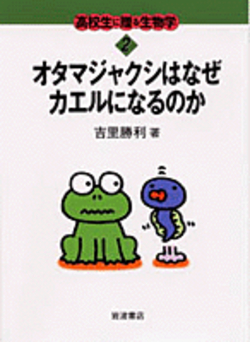 オタマジャクシ標本 4体セット　カエル　おたまじゃくし　変態　標本　レジン オタマジャクシ標本 4体セット カエル おたまじゃくし 変態 標本