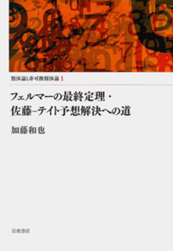 フェルマーの最終定理・佐藤－テイト予想解決への道／加藤 和也