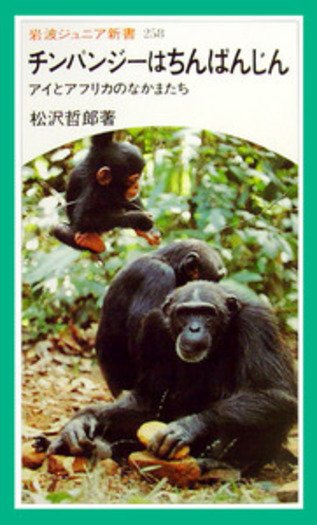 チンパンジーはちんぱんじん／松沢 哲郎｜岩波ジュニア新書 - 岩波書店