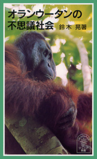 オランウータンの不思議社会／鈴木 晃｜岩波ジュニア新書 - 岩波書店