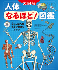 人体なるほど！図鑑 - 株式会社 絵本塾出版