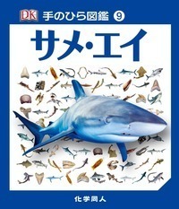 東海鉱物採集ガイドブック 名古屋鉱物同好会 伊藤剛 七賢出版 岩石・鉱物 - 株式会社 化学同人
