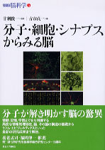 シリーズ脳科学5 分子・細胞・シナプスからみる脳 - 東京大学出版会