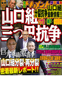 コンビニ限定】山口組分裂 大抗争史 - 株式会社メディアソフト