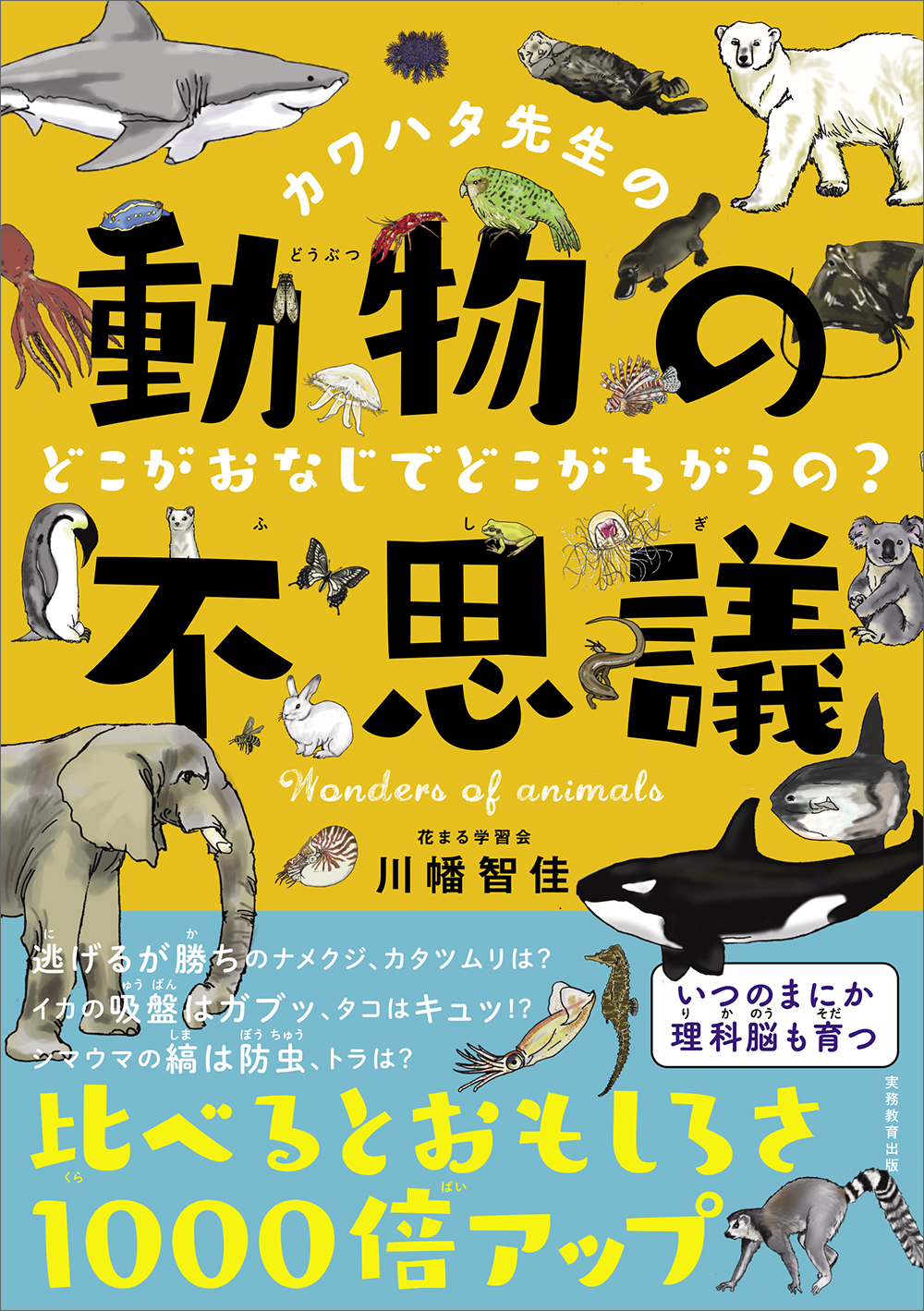 カワハタ先生の動物の不思議 どこがおなじでどこがちがうの？