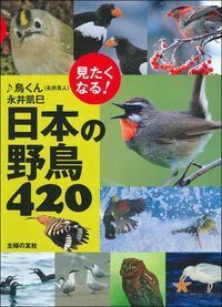 日本の野鳥セット　ペーパーブック版 日本の野鳥セット ペーパーブック版