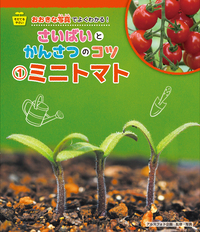 ミニトマト - 株式会社岩崎書店 この1冊が未来をつくる