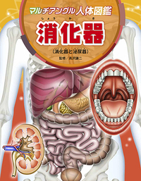 消化器 - ほるぷ出版 こどもの本のほるぷ出版