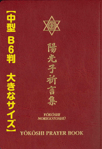 陽光子祈言集 （標準判） - L・H陽光出版