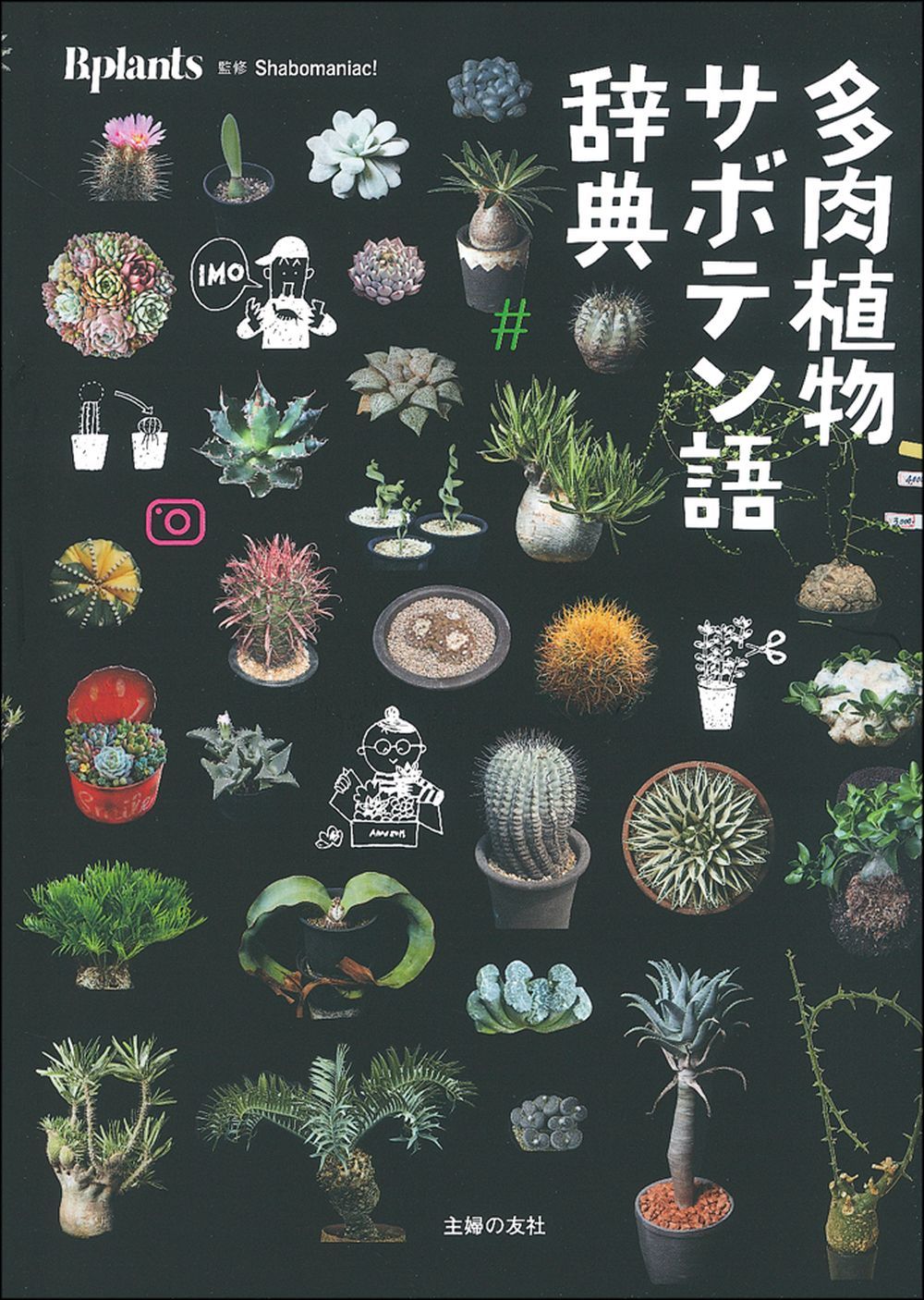 薬用植物辞典 日本の植物図鑑 薬用植物辞典 : NTS薬用植物辞典編集委員会