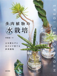 多肉植物の水栽培
