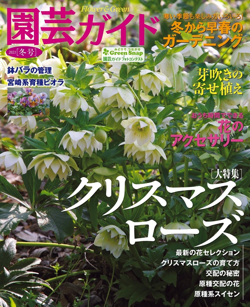 園芸ガイド　１２冊セット　　冊子付録付き　主婦の友社　2023他 園芸ガイド - 株式会社 主婦の友社 主婦の友社の本