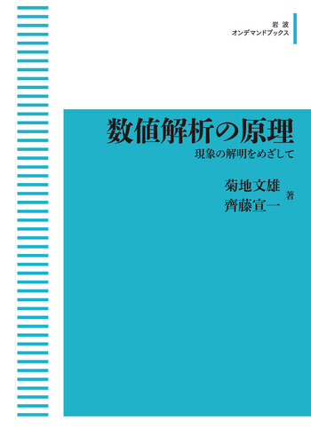数値解析の原理 現象の解明をめざして 数値解析の原理／菊地 文雄, 齊藤 宣一｜岩波数学叢書 - 岩波書店