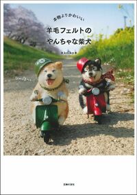 本物よりかわいい 羊毛フェルトのやんちゃな柴犬 - 株式会社