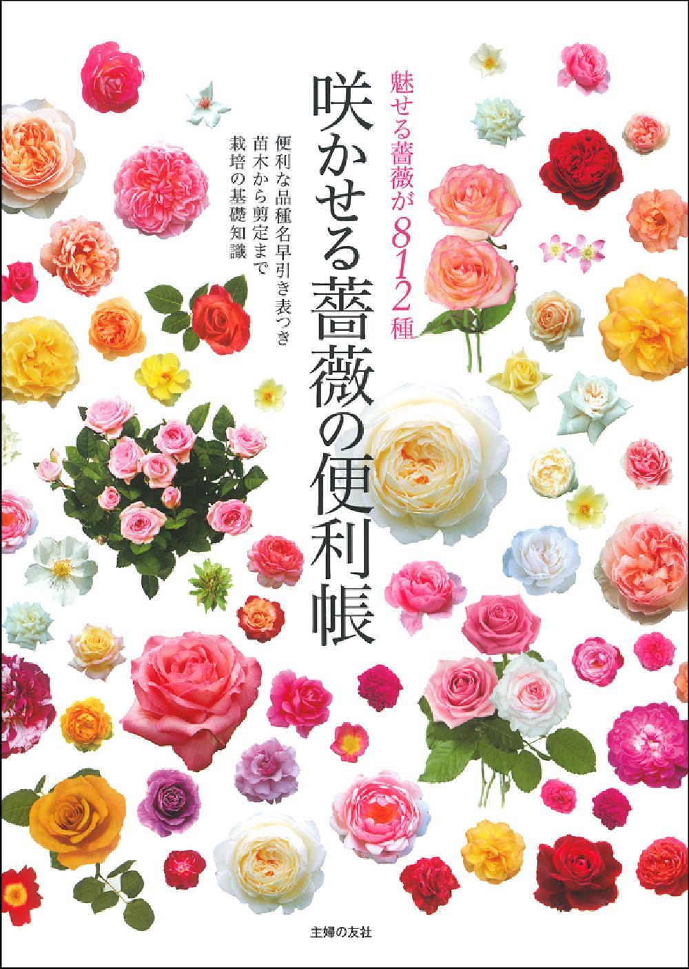 ナニワトモアレ　バラ巻 薔薇とシャンパン【全年齢版】 (全77話) Kindle版