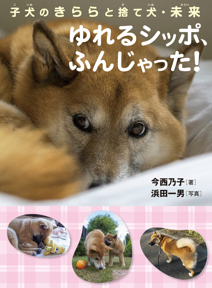 子犬のきららと捨て犬・未来 ゆれるシッポ、ふんじゃった！ - 株式会社