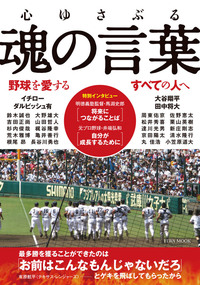 熱闘甲子園 夏の甲子園47都道府県代表熱闘の記録 - 株式会社英和出版社 パズル・PC