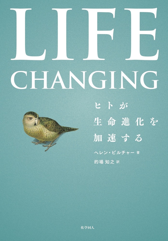 進化発達心理学 ヒトの本性の起源  /新曜社/デイヴィッド・Ｆ．ビョ-クランド（単行本） 進化発達心理学 ヒトの本性の起源 /新曜社/デイヴィッド・F