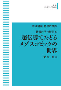 ＯＤ＞量子力学/岩波書店/河原林研（ペーパーバック） 量子力学 (現代物理学叢書) | 河原林 研 |本 | 通販 | Amazon