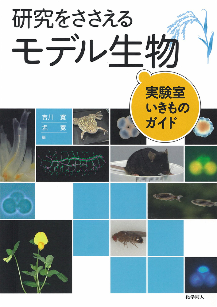 研究をささえるモデル生物 - 株式会社 化学同人