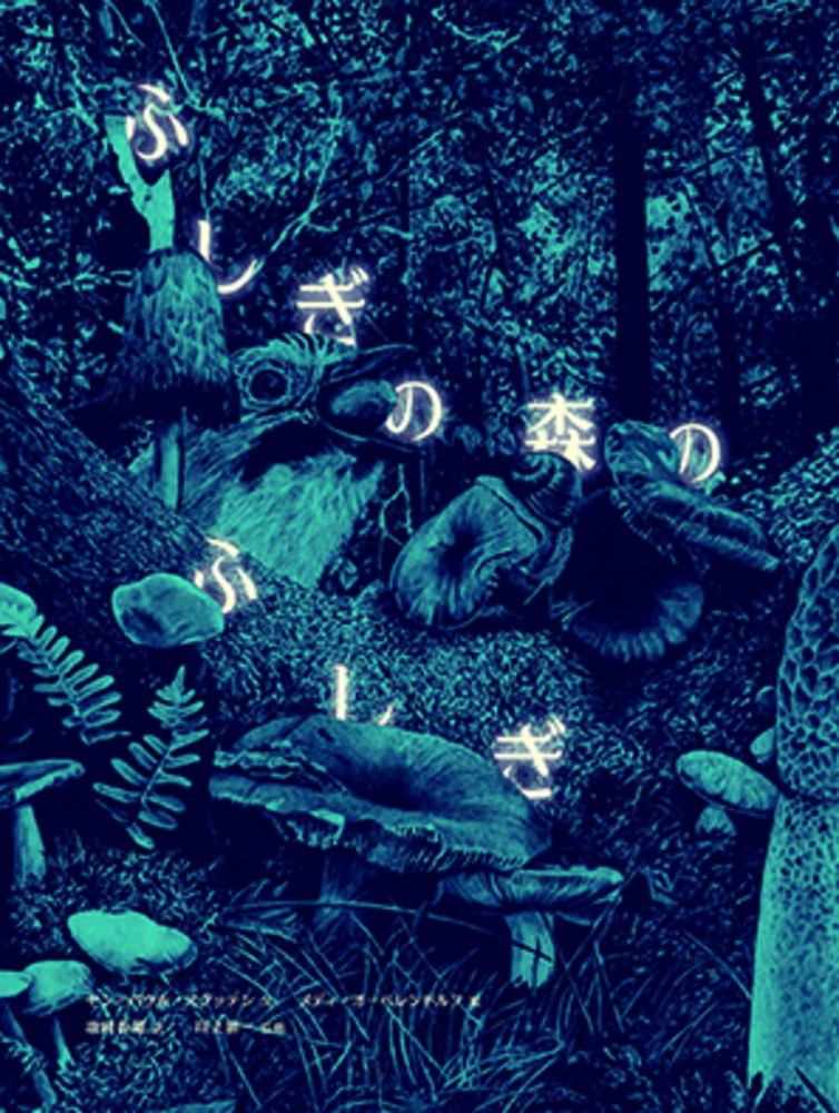 ふしぎの森のふしぎ - 株式会社 化学同人