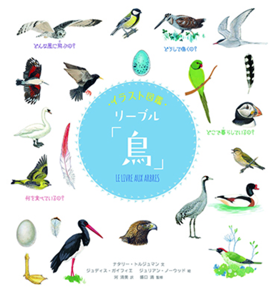 額装品　博物画のリプロダクション　S.マネッティ「鸚鵡の図」鳥類図鑑 イラスト図鑑 リーブル「鳥」 | ナタリー・トルジュマン