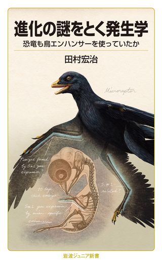 進化の謎をとく発生学／田村 宏治｜岩波ジュニア新書 - 岩波書店