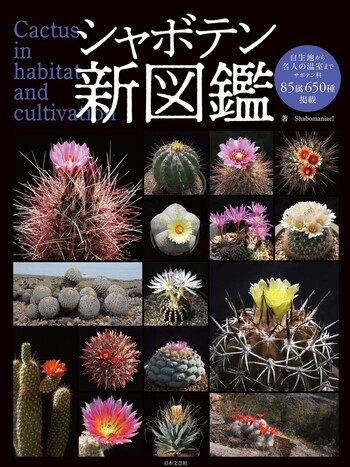 シャボテン Cacti & Succulents 誠文堂新光社 かわいい～！」 シャボテン Cacti & Succulents 誠文堂新光社