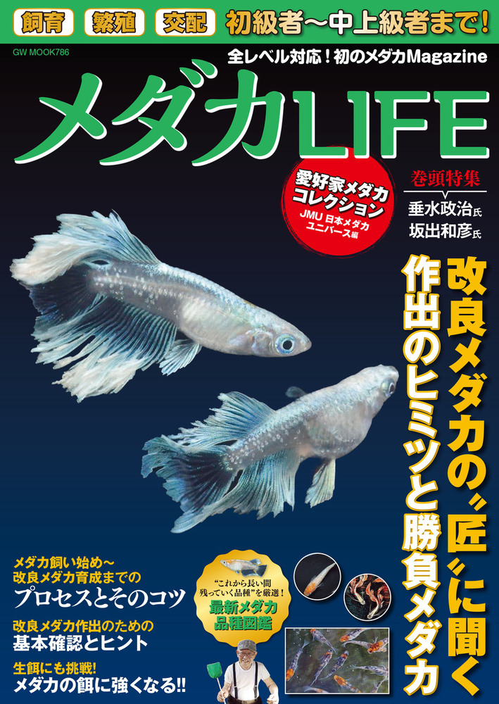 メダカ飼育かかり様 まとめご依頼品 未開封 輸入盤 楽天市場】GEX メダカ元気 快適繁殖ケース M めだか 屋外 水槽 お
