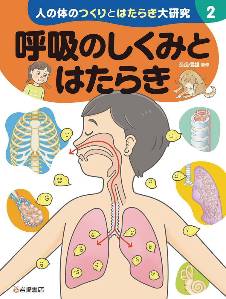 6 年理科呼吸 の 仕組み | 人の肺のつくりと呼吸の仕組み – IATPY