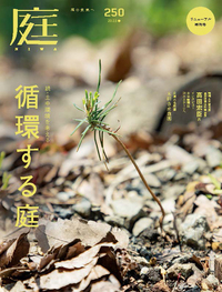 庭　建築資料研究社　2006 1月〜11月号　6冊セット　定価一冊2940円 書籍検索 - 建築資料研究社 BOOKS & MAGAZINES
