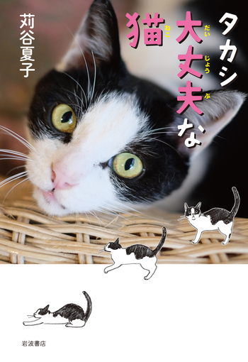 タカシ 大丈夫な猫／苅谷 夏子｜児童書 - 岩波書店