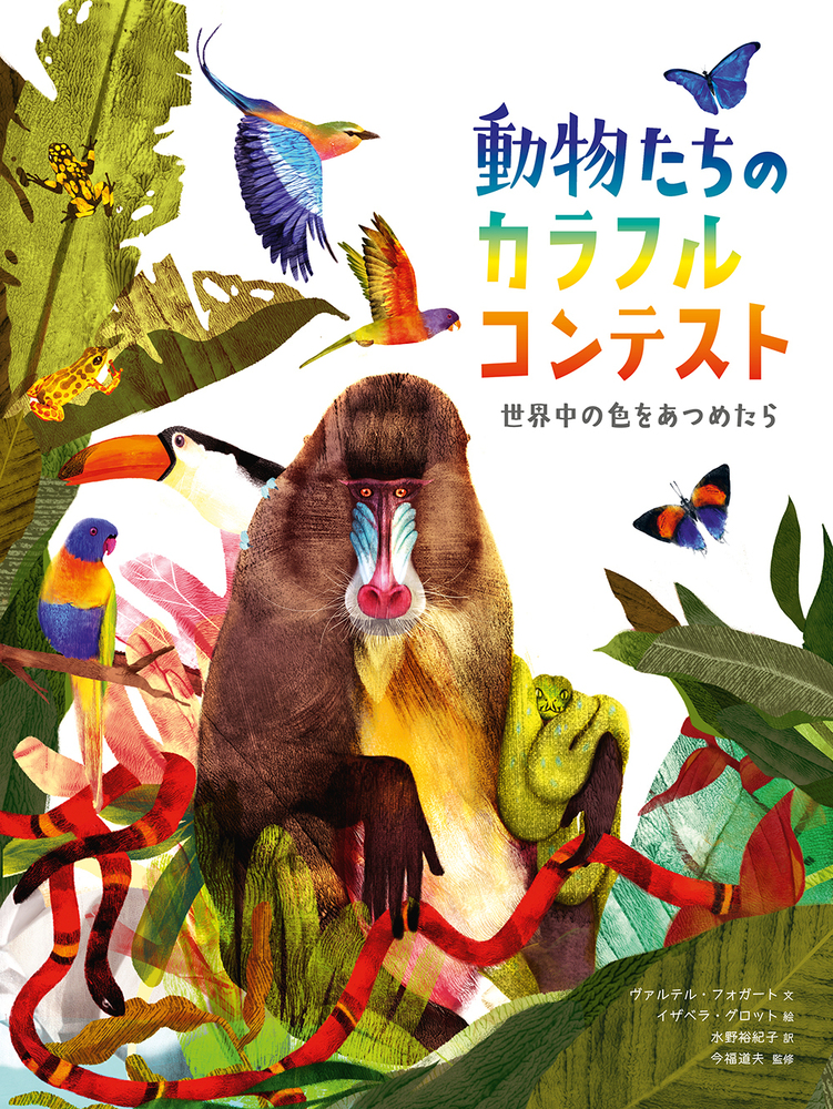動物たちのカラフルコンテスト - 株式会社 化学同人