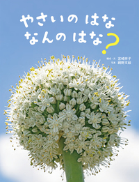 野菜の絵本セット 12冊 楽天市場】野菜 絵本の通販