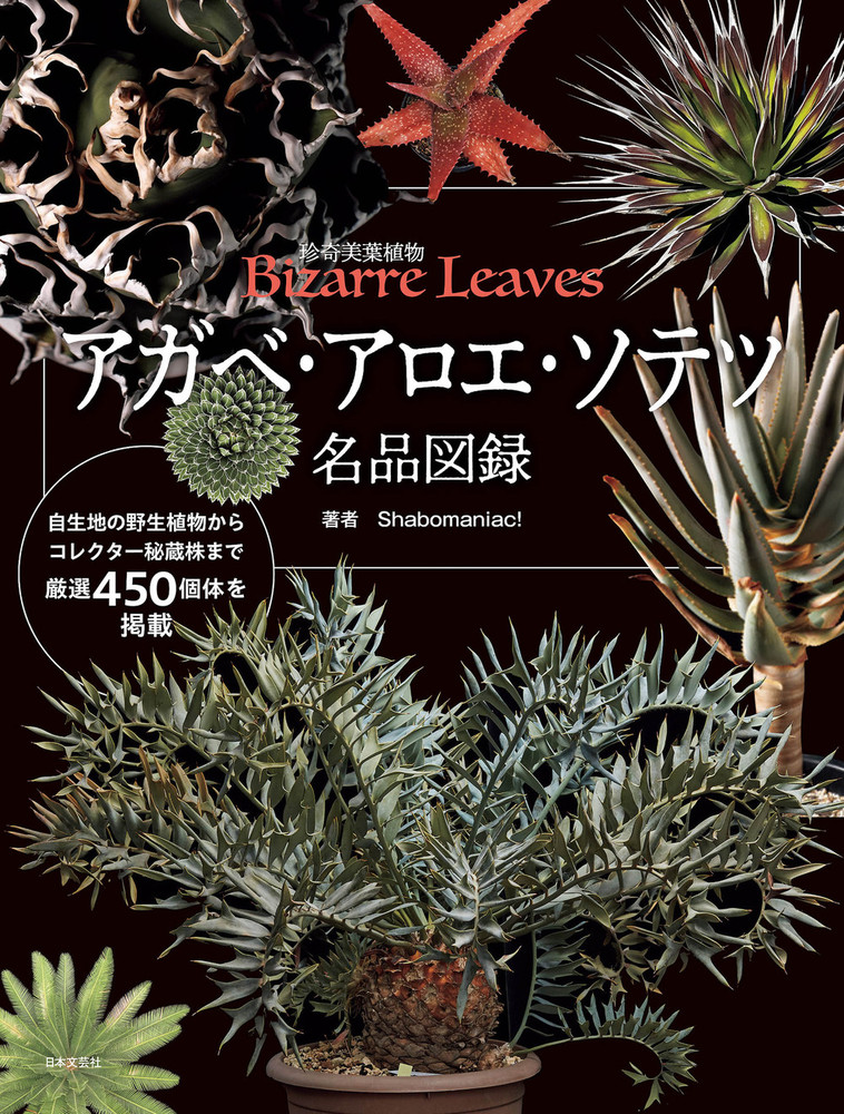 アガベ・アロエ・ソテツ名品図録