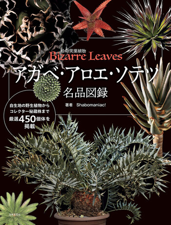 アガベ・アロエ・ソテツ名品図録 - 株式会社日本文芸社