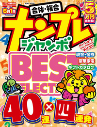 ナンプレジャンボベーシックBestSelection Vol.28 - 株式会社